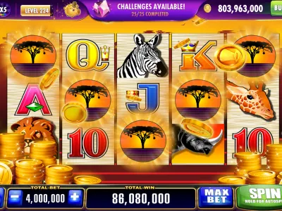 Linebet App Interface 3